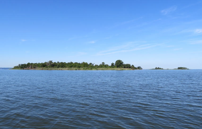 Saint Catherine Island