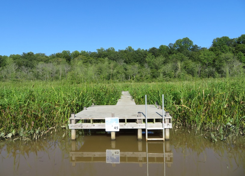 Site 45 pier