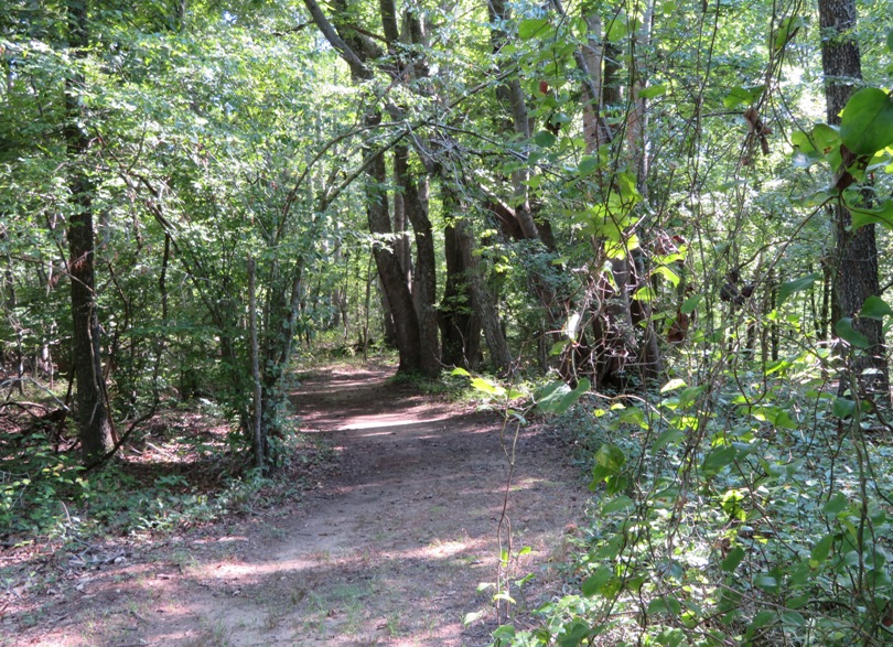 Wooded and shady Cliff Trail