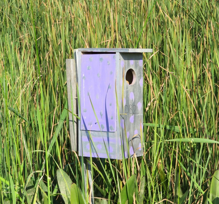 Wood duck box painted purple