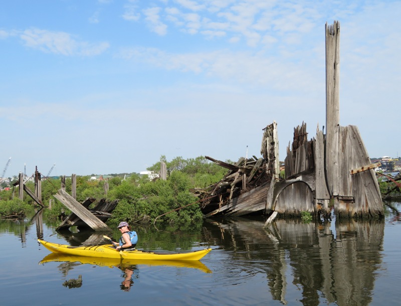 Sara in kayak near where she saw the snake