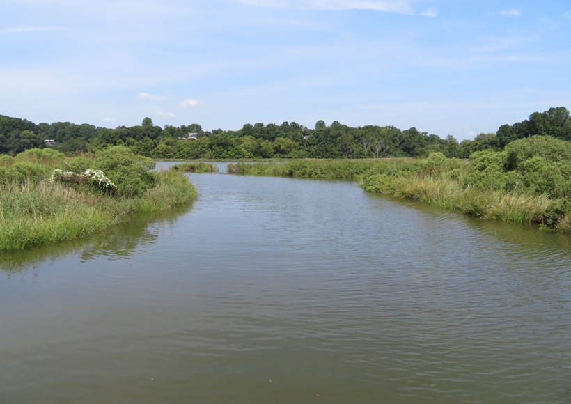 View of pond on the west side of Fairhaven Road
