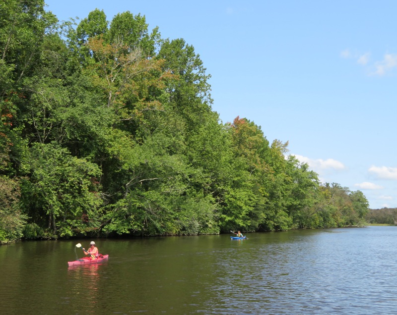 Verena and Norma kayaking in a wider section of the river