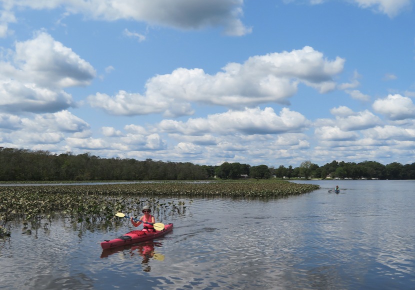 Verena kayaking near old spatterdock leaves