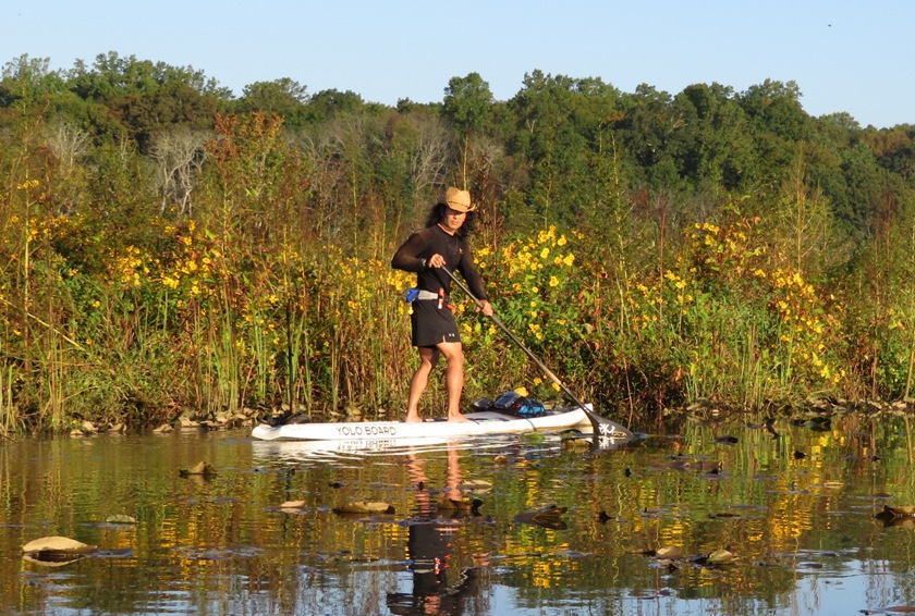 Me on SUP with yellow flowers behind