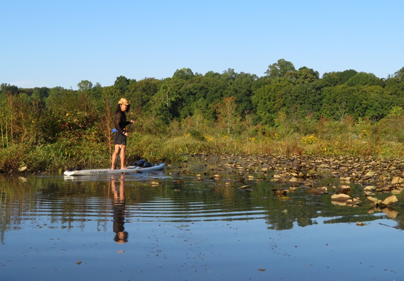 Me on SUP with old spatterdock leaves