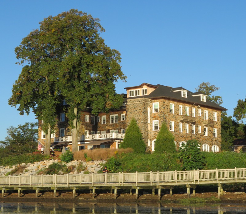 Old building and tall tree with eagle at the top