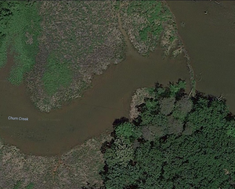 Satellite photo showing beaver dam