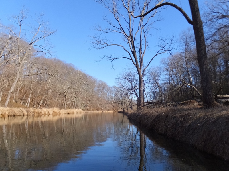 Scenic view of creek with bare trees