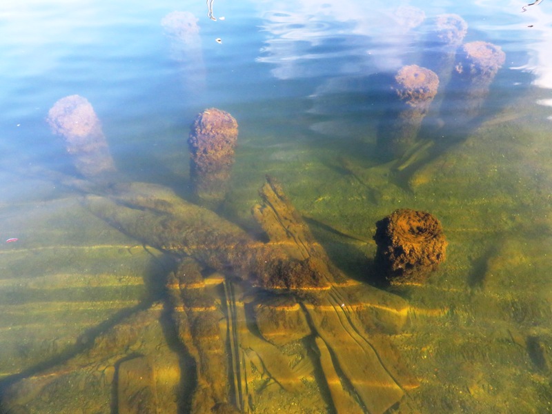 Clear water and piles