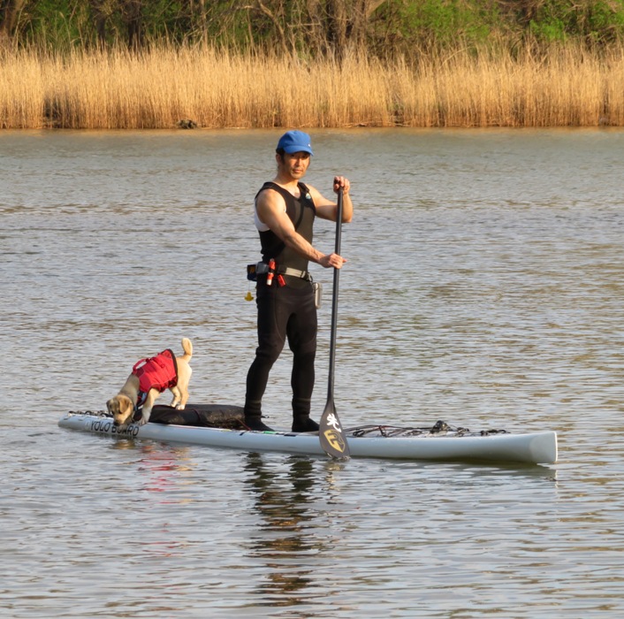 Daphne behind me on the SUP