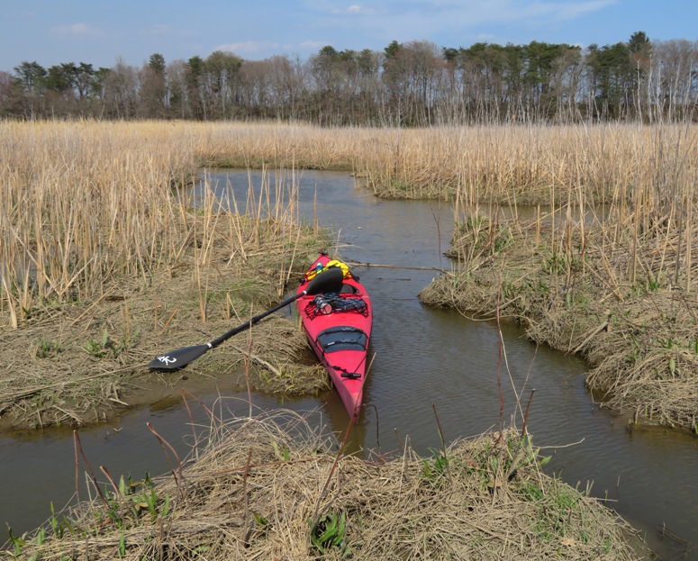 My kayak on Tyverne Creek