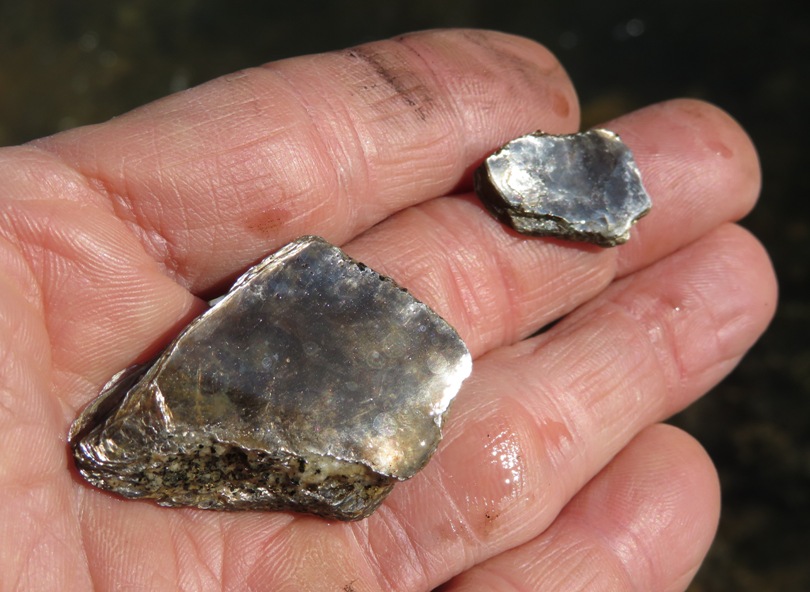 Two shiny pieces of muscovite