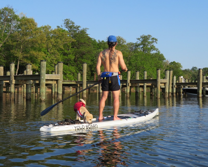 Daphne behind me on SUP