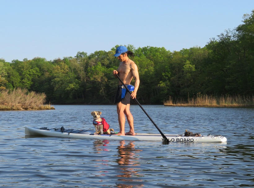 Daphne on SUP in front of me