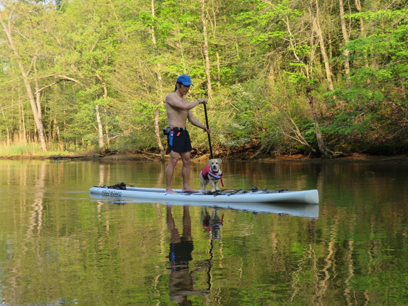 Daphne and I on SUP in the shade with the background aglow
