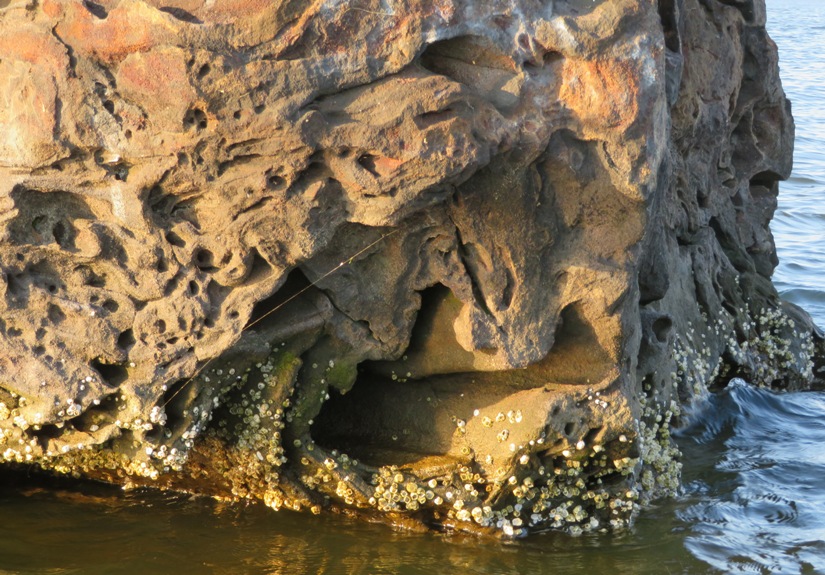 View showing interesting texture in the rocks