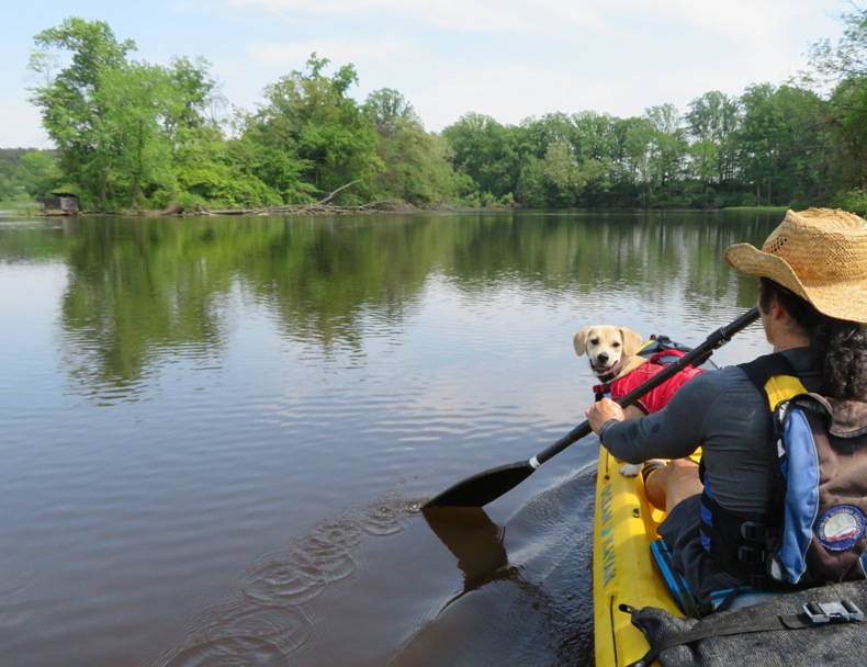 Daphne standing at the front of the kayak
