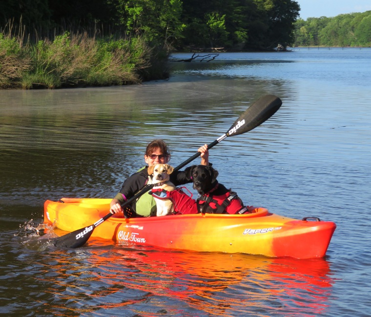 Another view of Sara with Daphne and Cassi in her kayak