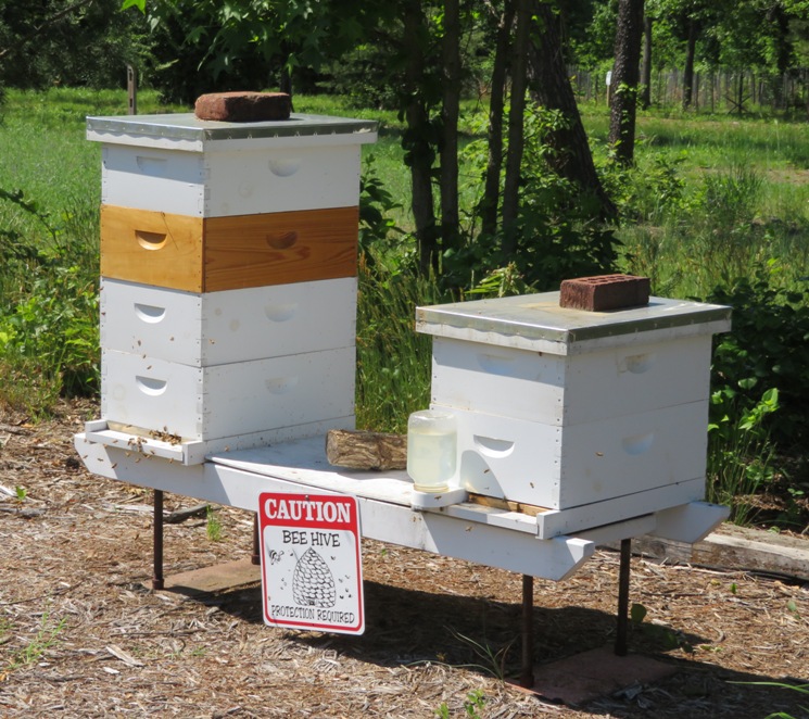 Two beehives