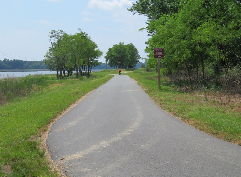 Bicyclist riding on the Michael N. Castle Trail