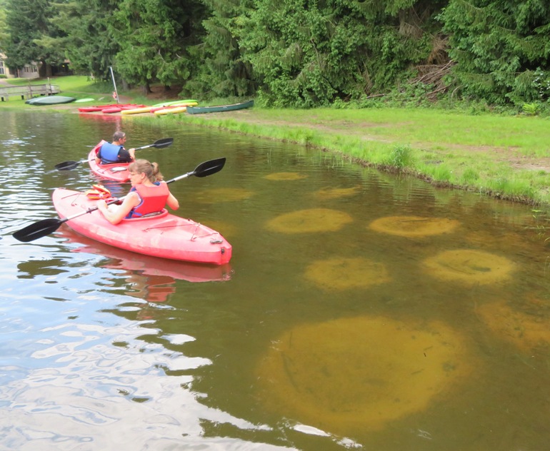 Joyce and Jimmy in kayaks near fish craters