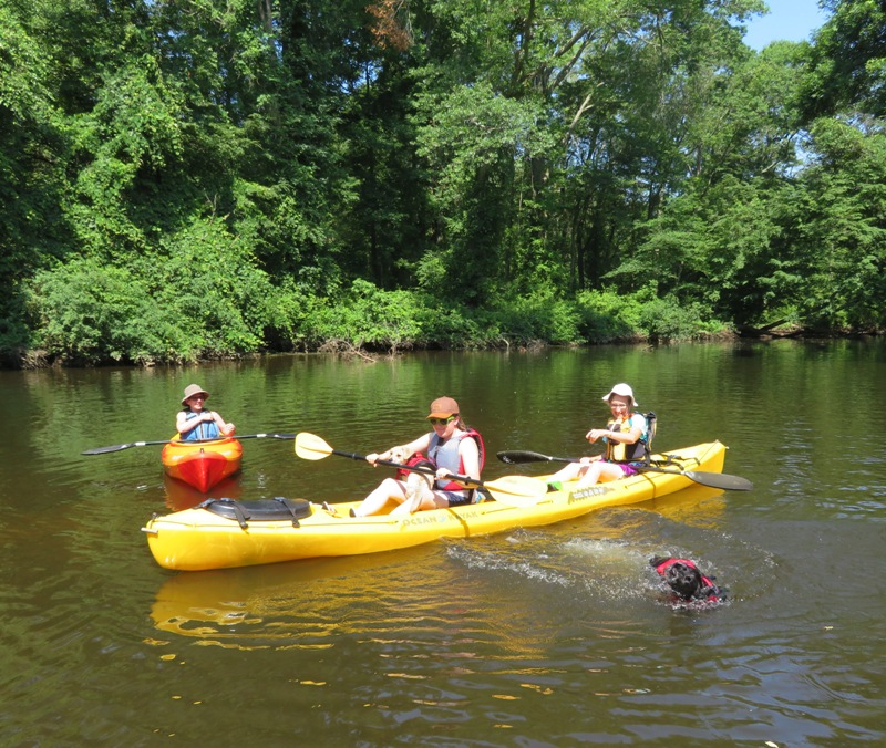 Daphne on tandem with Cassi swimming away from it