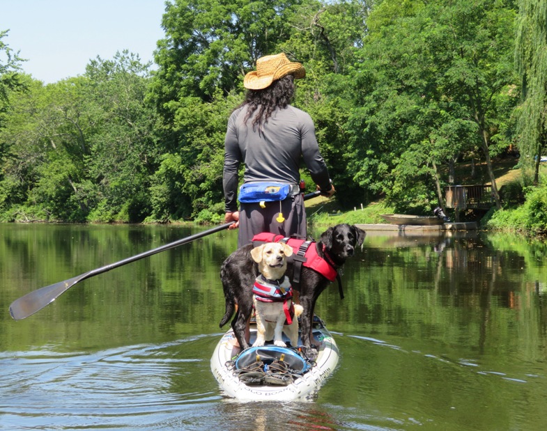 Me on SUP with both dogs