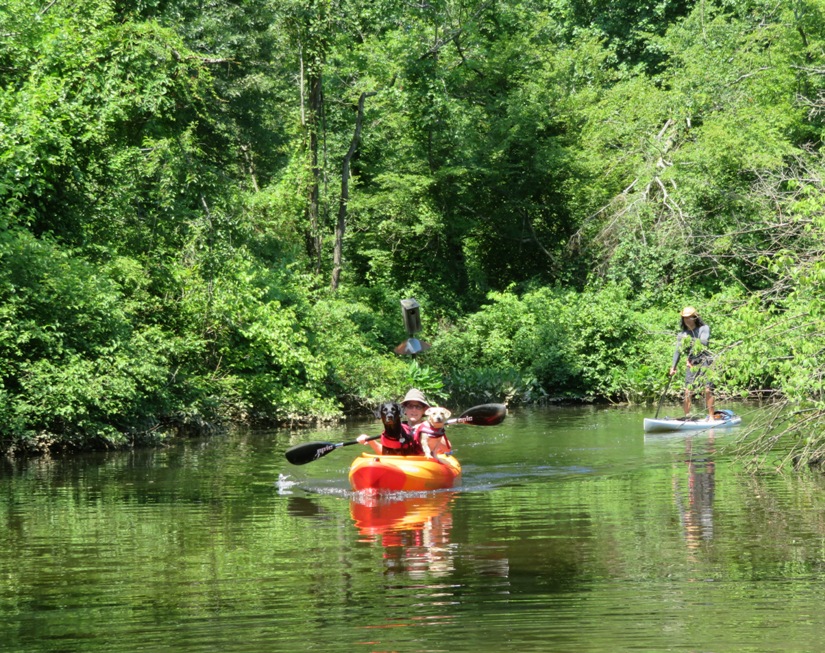 Sara in her kayak with two dogs and me paddlin behind