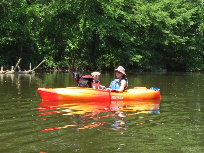 Both dogs in kayak with Sara
