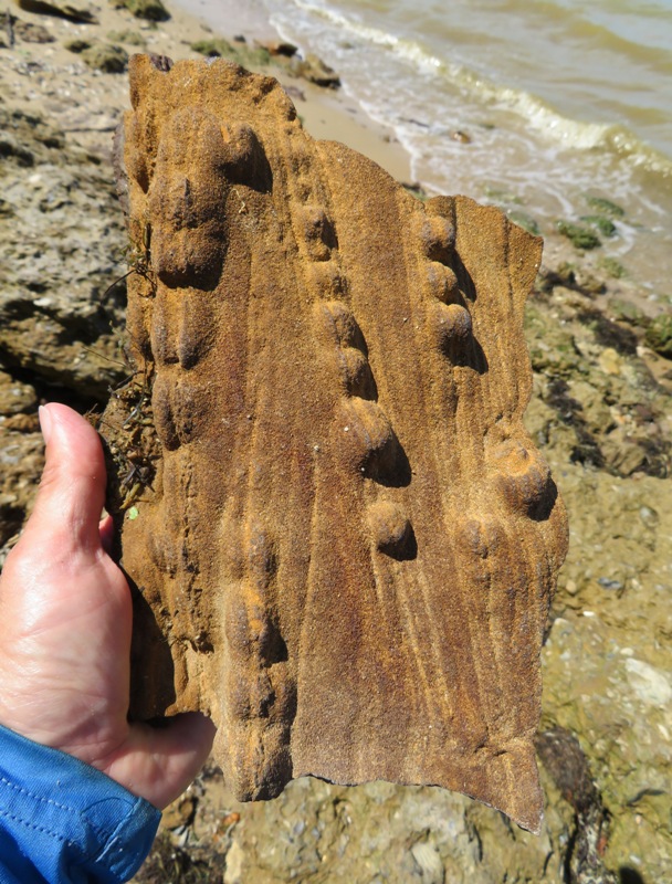 Bog iron