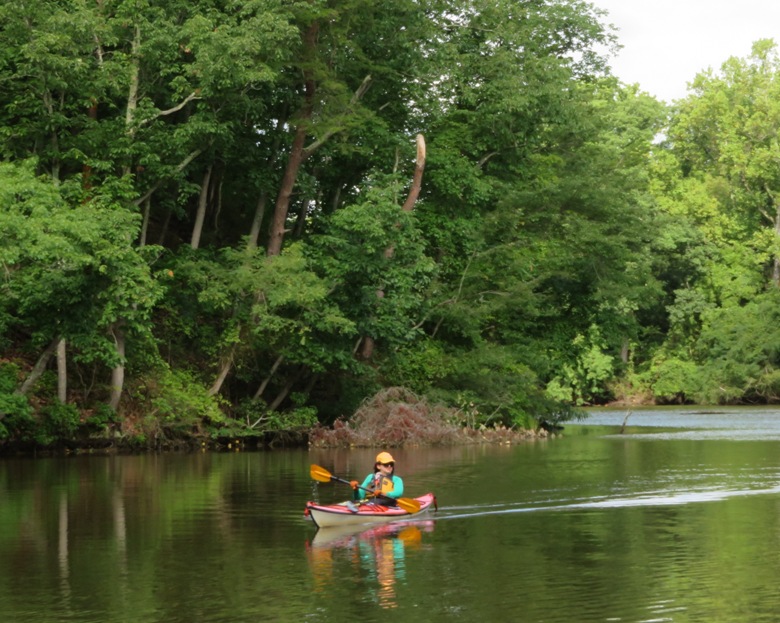 Lisa kayaking on Crab Creek