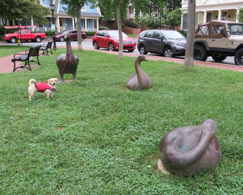Daphne at Murray Hill Park near geese statues