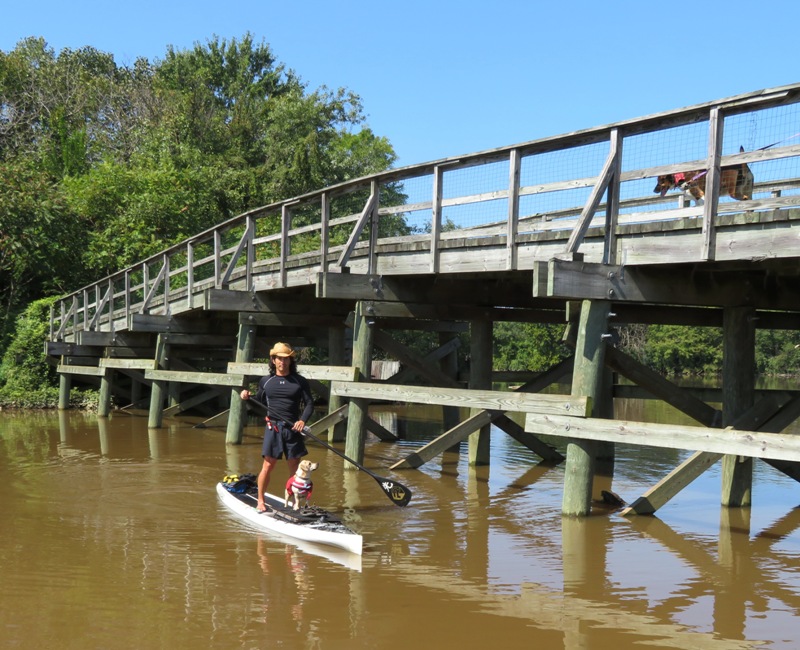 Daphne and I on SUP in front of boardwalk