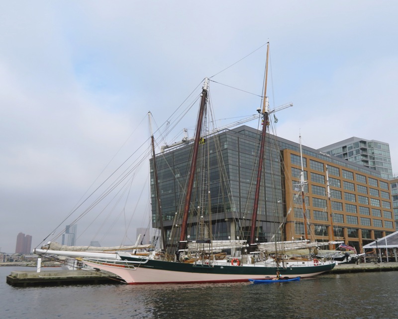 Lady Maryland in Baltimore