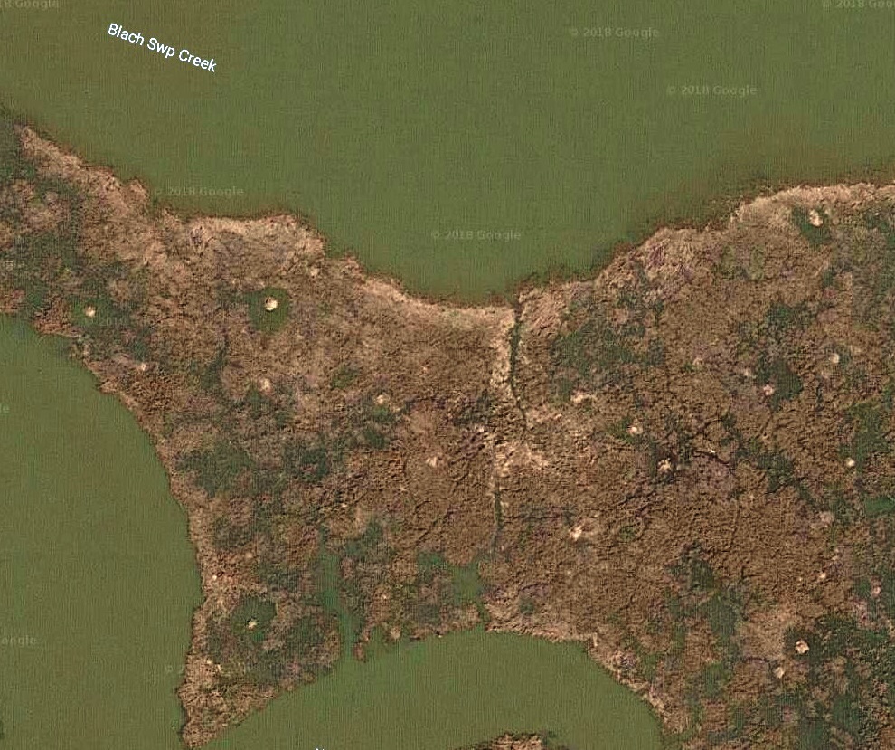 Satellite photo showing muskrat mounds