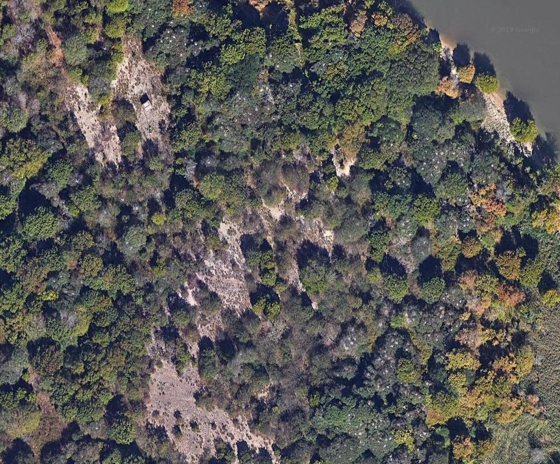 Satellite photo showing nests as grey dots