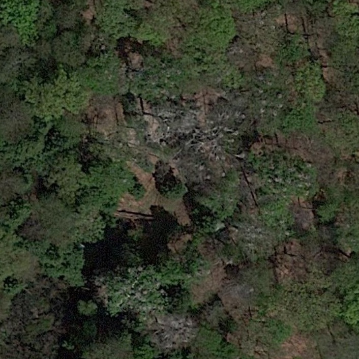 Satellite photo showing nests