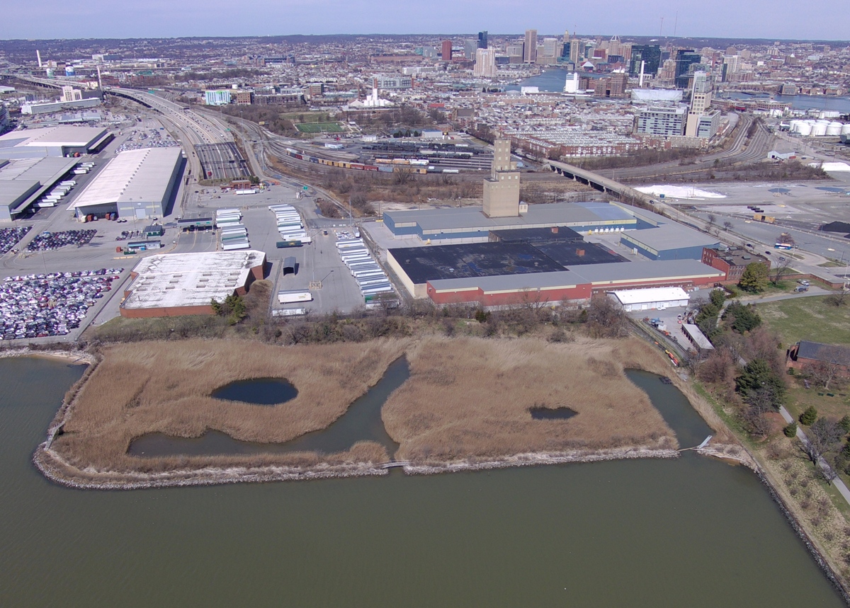 Grassy wetlands area with industrial area behind