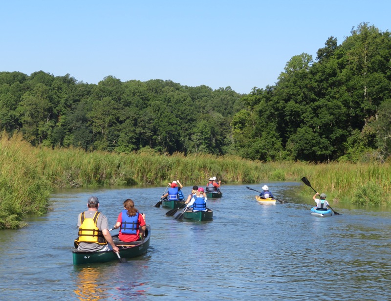 Paddlers on Parkers Creek which is lined by bay grasses