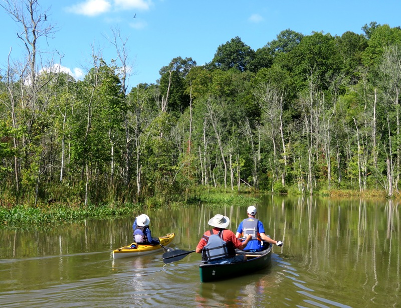 Kayak and canoe with dead trees in background
