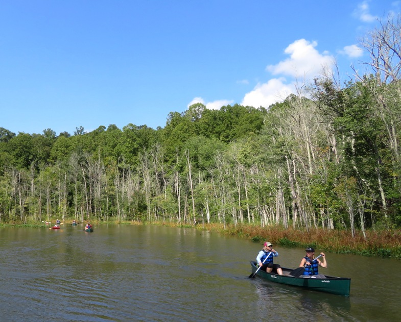 Two people paddling a canoe with others far behind