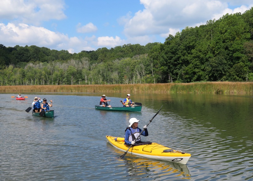 A kayaker followed by two canoes and another kayak in the distance