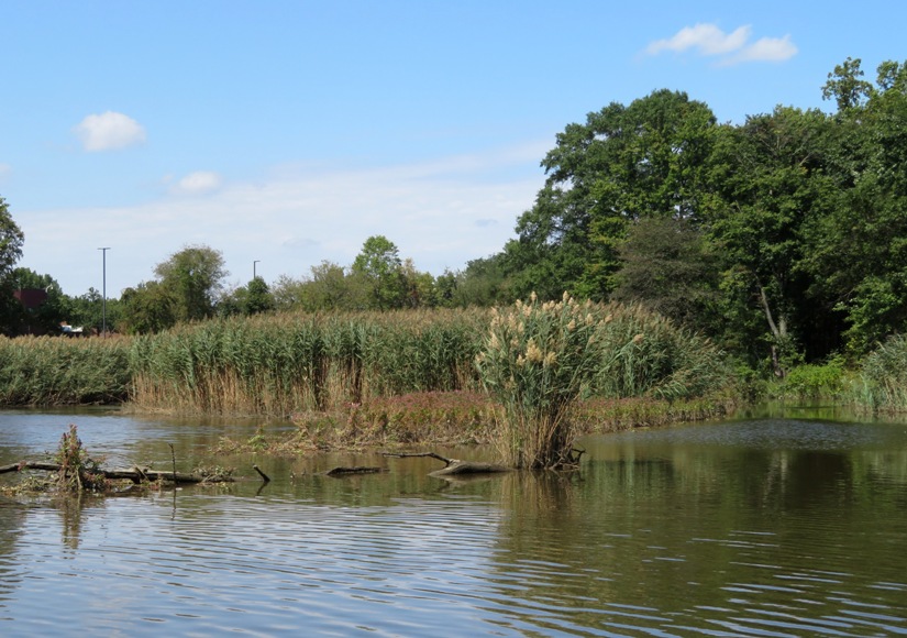 Small island that I circumnavigated