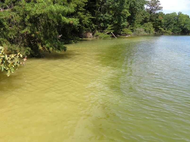 Pale water transitioning to darker water