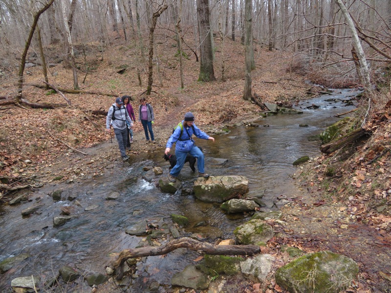 Norma crossing a stream