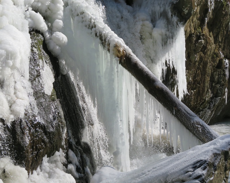 Ice hanging on log