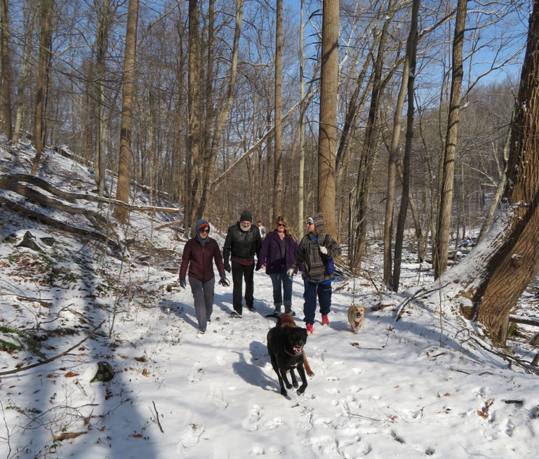 People and dogs walking on the snow-covered Green Trail