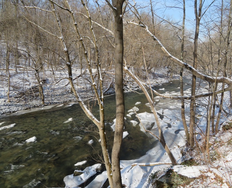 The Middle Patuxent River as seen from a high point