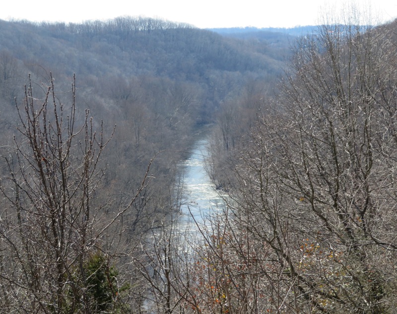 Patapsco River seen through leafless trees